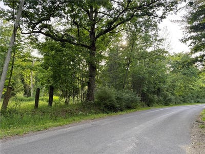 /international/us/cronk-hill-road-fillmore-ny-110108974900/