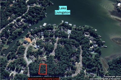 /international/us/91-twinstone-cir-coldspring-tx-110094048425/?lang=zh-tw