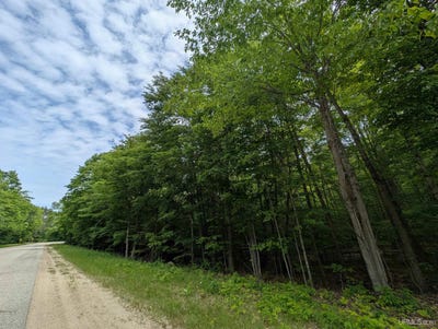 /international/us/parcel-b-w-smith-lake-manistique-mi-110100501342/?lang=en