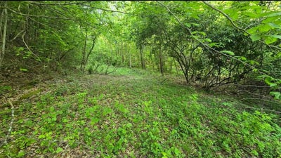 /international/us/00-ky-rt-1750-east-point-ky-110100077399/