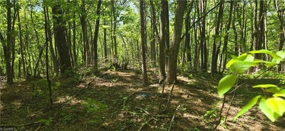 /international/us/goose-creek-lane-ararat-va-110108773344/