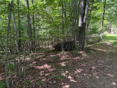 /international/us/tdb-broad-shoals-rd-riner-va-110109004236/
