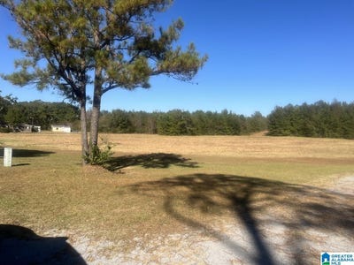 /international/us/county-road-153-jemison-al-110082091837/