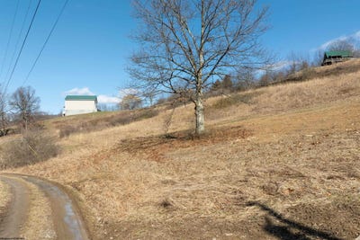 /international/us/phillips-pike-grafton-wv-110097513463/