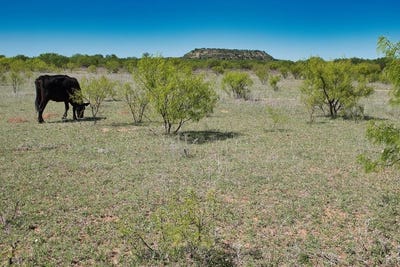 /international/us/2303-streeter-lane-mason-tx-110107050505/