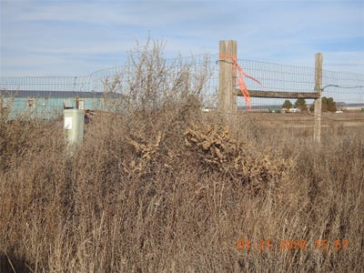 /international/us/roan-avenue-n-moriarty-nm-110106668303/