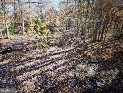 /international/us/6704-lot-1-buckingham-terrace-buena-nj-110098653091/?lang=zh-tw