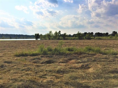 /international/us/mound-view-drive-lot-309-england-ar-110104547740/