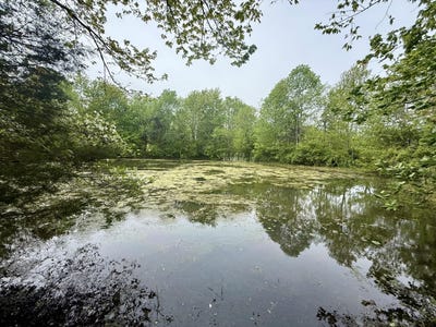 /international/us/9999-hwy-70-ball-hunt-road-somerset-ky-110096684580/