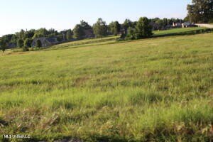 /international/us/27-chapel-hill-subdivision-lot-27-holly-springs-ms-110101939237/