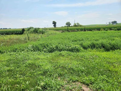 /international/us/860-valley-road-lot-15-dane-wi-110106372810/