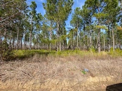 /international/us/huskey-rd-dothan-al-110097162560/