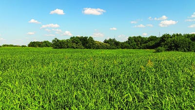 /international/us/tbd-crestwood-st-north-enid-ok-110100748231/?lang=zh-cn
