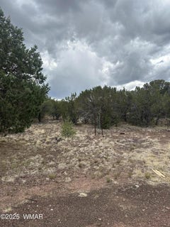 /international/us/tbd-hwy-61-vernon-az-110101332443/?lang=zh-tw