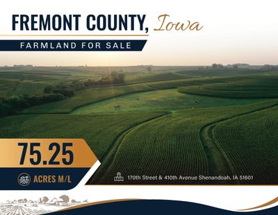 /international/us/170th-street-shenandoah-ia-110109768161/