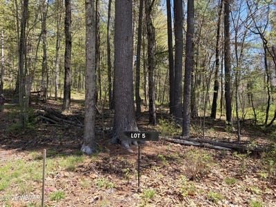 /international/us/parcel-112-tallman-hollow-road-lot-5-montoursville-pa-110107662935/