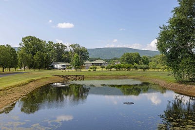 /international/us/347-horseshoe-cir-stuarts-draft-va-110101238123/