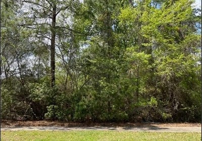 /international/us/00-charleston-way-st-marys-ga-110100939237/?lang=zh-tw