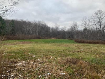 /international/us/0-phillips-odell-road-guilford-ny-110098069769/?lang=zh-tw