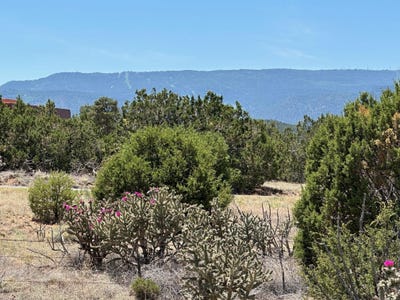/international/us/29-via-entrada-sandia-park-nm-110092650816/?lang=en