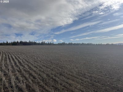 /international/us/nka-two-mountainview-rd-goldendale-wa-110104333067/