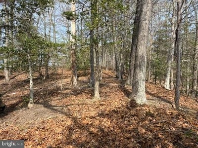 /international/us/28-haul-shore-hidden-lake-drive-montross-va-110107000854/
