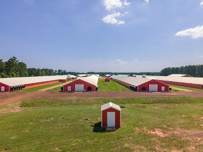 /international/us/farm-2-cr-779-douglass-tx-110108912576/
