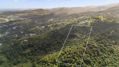 /international/us/966-zarzal-road-rio-grande-pr-110108229656/