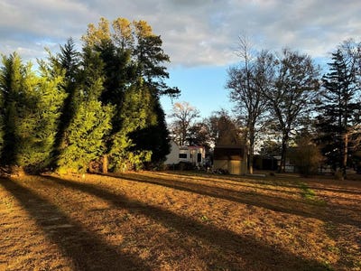 /international/us/limpet-dr-lot-178-horntown-va-110107482815/
