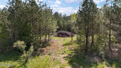 /international/us/290-mt-helm-road-brandon-ms-110101057058/?lang=zh-tw