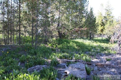 /international/us/0001-n-buffalo-lane-island-park-id-110108823454/?lang=zh-cn