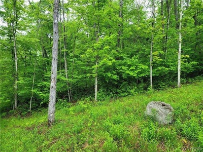 /international/us/0-co-road-24-lot-1-grove-ny-110108794987/