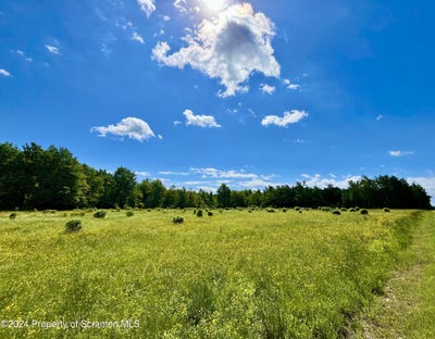/international/us/9755-state-route-171-union-dale-pa-110108078121/