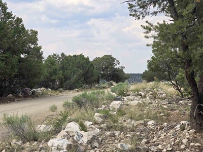 /international/us/lobo-ranch-road-arroyo-hondo-nm-110101062347/?lang=zh-tw
