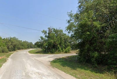 /international/us/lot-1-maluka-radial-ocklawaha-fl-110106433256/