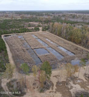 /international/us/river-road-white-oak-nc-110103289588/