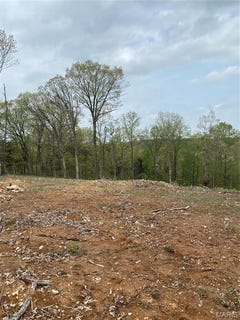 /international/us/8819-helujon-acres-drive-hillsboro-mo-110100372184/