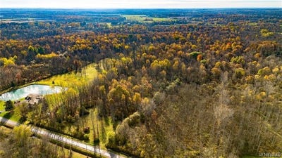 /international/us/10525-cedar-road-clarence-center-ny-110109990874/