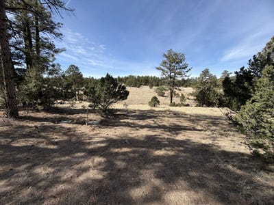 /international/us/262-harmon-dr-texas-creek-co-110106347329/