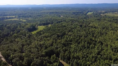 /international/us/43-hughbanks-hollow-story-ar-110109654659/