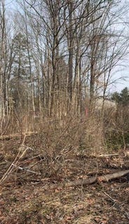 /international/us/19-25-clearbrook-drive-mahopac-ny-110108451671/