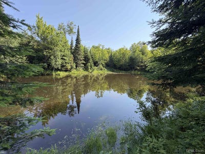 /international/us/14598-arnheim-road-pelkie-mi-110109160367/