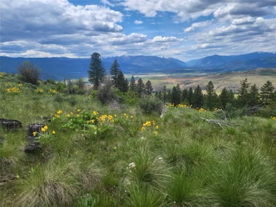 /international/us/yosyrian-lane-lot-5-plains-mt-110101934885/