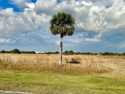 /international/us/6635-se-26th-trail-okeechobee-fl-110108142624/