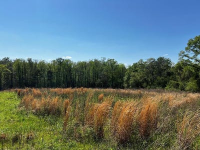 /international/us/455-county-road-2213-goshen-al-110099870931/