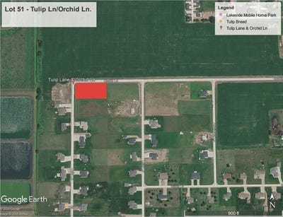 /international/us/lot-51-tulip-yankton-sd-110108773961/