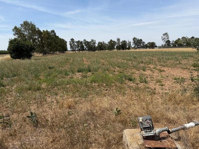 /international/us/road-20-chowchilla-ca-110107867062/