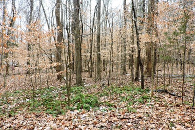 /international/us/000-canaan-circle-hillsborough-nc-110096857096/