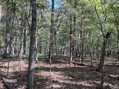 /international/us/boswell-road-okolona-ar-110120095101/