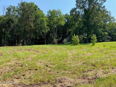 /international/us/mt-pleasant-road-byhalia-ms-110100034316/